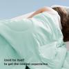 imageBedsure Cooling Blankets for Hot Sleepers  Cold and Lightweight Gift for Night Sweats Summer Blanket Full Size Ice Cooled Breathable Comforter for Bed and Couch Grey 80x90 InchesGreen