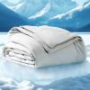 imageBedsure Cooling Blankets for Hot Sleepers  Cold and Lightweight Gift for Night Sweats Summer Blanket Full Size Ice Cooled Breathable Comforter for Bed and Couch Grey 80x90 InchesGrey