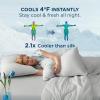 imageBedsure Cooling Comforters Queen Size Set 4 Pieces Grey Cooling Blanket for Hot Sleepers DoubleSided Cool Tech Queen Bedding Set with Breathable Lightweight Comforter Sheet ampamp Pillowcases03  Grey