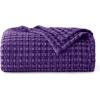imageBedsure Cooling Cotton Waffle Weave Throw Blanket  Lightweight Breathable Blanket of Rayon Derived from Bamboo for Hot Sleepers Luxury Throws for Bed Couch and Sofa Ivory 50x70 InchesPurple