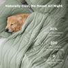 imageBedsure Cooling Quilt  Cooling Comforter Queen Size MoistureWicking and Silky Soft for Hot Sleepers and Night Sweats Luxury Tencel Lyocell Cotton Bedspread Lightweight ampamp Breathable Cloud QuiltDesert Sage Green