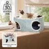 imageBedsure Cute Cat House for Indoor Cats  Extra Wide Cat Scratch House with Large Top Sisal Scratch Pad for Multiple Cats Foldable Kitty Cave Hideaway for Entertainment 236x159x126inches BlueModern