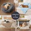 imageBedsure Dog Blanket for Small Dogs Washable  Fluffy Fuzzy Puppy Cat Blanket with Premium 300GSM Coral Fleece Soft for Pet Kitten Doggy Green 25x35INBlue Dot