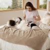 imageBedsure Dog Blanket for Small Dogs Washable  Fluffy Fuzzy Puppy Cat Blanket with Premium 300GSM Coral Fleece Soft for Pet Kitten Doggy Green 25x35INBrown Wave