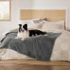 imageBedsure Dog Blanket for Small Dogs Washable  Fluffy Fuzzy Puppy Cat Blanket with Premium 300GSM Coral Fleece Soft for Pet Kitten Doggy Green 25x35INGrey Wave