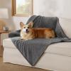 imageBedsure Dog Blanket for Small Dogs Washable  Fluffy Fuzzy Puppy Cat Blanket with Premium 300GSM Coral Fleece Soft for Pet Kitten Doggy Green 25x35INGrey Wave