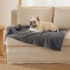 imageBedsure Dog Blanket for Small Dogs Washable  Fluffy Fuzzy Puppy Cat Blanket with Premium 300GSM Coral Fleece Soft for Pet Kitten Doggy Green 25x35INGrey Wave