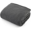 imageBedsure Dog Blanket for Small Dogs Washable  Fluffy Fuzzy Puppy Cat Blanket with Premium 300GSM Coral Fleece Soft for Pet Kitten Doggy Green 25x35INGrey Wave