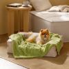imageBedsure Dog Blanket for Small Dogs Washable  Fluffy Fuzzy Puppy Cat Blanket with Premium 300GSM Coral Fleece Soft for Pet Kitten Doggy Green 25x35INLint Heart