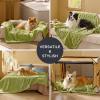 imageBedsure Dog Blanket for Small Dogs Washable  Fluffy Fuzzy Puppy Cat Blanket with Premium 300GSM Coral Fleece Soft for Pet Kitten Doggy Green 25x35INLint Heart