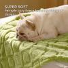 imageBedsure Dog Blanket for Small Dogs Washable  Fluffy Fuzzy Puppy Cat Blanket with Premium 300GSM Coral Fleece Soft for Pet Kitten Doggy Green 25x35INLint Heart