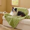 imageBedsure Dog Blanket for Small Dogs Washable  Fluffy Fuzzy Puppy Cat Blanket with Premium 300GSM Coral Fleece Soft for Pet Kitten Doggy Green 25x35INLint Heart