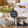 imageBedsure Dog Blanket for Small Dogs Washable  Fluffy Fuzzy Puppy Cat Blanket with Premium 300GSM Coral Fleece Soft for Pet Kitten Doggy Green 25x35INLint Heart