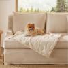imageBedsure Dog Blanket for Small Dogs Washable  Fluffy Fuzzy Puppy Cat Blanket with Premium 300GSM Coral Fleece Soft for Pet Kitten Doggy Green 25x35INPcs3 White Heart