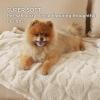 imageBedsure Dog Blanket for Small Dogs Washable  Fluffy Fuzzy Puppy Cat Blanket with Premium 300GSM Coral Fleece Soft for Pet Kitten Doggy Green 25x35INPcs2 White Heart