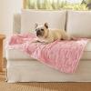 imageBedsure Dog Blanket for Small Dogs Washable  Fluffy Fuzzy Puppy Cat Blanket with Premium 300GSM Coral Fleece Soft for Pet Kitten Doggy Green 25x35INPink Heart