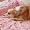 imageBedsure Dog Blanket for Small Dogs Washable  Fluffy Fuzzy Puppy Cat Blanket with Premium 300GSM Coral Fleece Soft for Pet Kitten Doggy Green 25x35INPink Heart