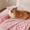 imageBedsure Dog Blanket for Small Dogs Washable  Fluffy Fuzzy Puppy Cat Blanket with Premium 300GSM Coral Fleece Soft for Pet Kitten Doggy Green 25x35INPink Heart
