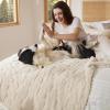 imageBedsure Dog Blanket for Small Dogs Washable  Fluffy Fuzzy Puppy Cat Blanket with Premium 300GSM Coral Fleece Soft for Pet Kitten Doggy Green 25x35INWhite Heart