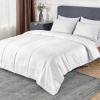 imageBedsure Duvet Insert Queen Size  Lightweight Comforter Quilted Cooling Duvet Insert Down Alternative Summer Comforter with 8 Tabs Ultra Soft Striped Machine Washable Queen 88x88 inchesWhite