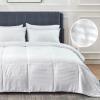 imageBedsure Duvet Insert Queen Size  Lightweight Comforter Quilted Cooling Duvet Insert Down Alternative Summer Comforter with 8 Tabs Ultra Soft Striped Machine Washable Queen 88x88 inchesWhite