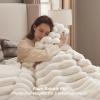 imageBedsure Faux Fur Queen Comforter Set  Beige Fluffy Comforter Queen Size Soft and Cozy Shaggy Bedding Comforter Sets Winter Warm Luxury Fuzzy Bed Set 3 Pieces 1 Comforter and 2 Pillowcases02  Coconut White