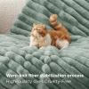 imageBedsure Faux Fur Throw Blanket  Ultra GentleSoft ampamp Fluffy Fuzzy Luxury Throw Blanket for Couch Sofa and Bed Thick and Warm for Winter Cozy Striped Decorative Gift for Women Purple 50x70 Inches04  Green