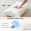 imageBedsure Fluffy Bed Pillows for Sleeping  Luxury King Size Pillows 2 Pack with 100 Cotton Breathable Cover Soft ampamp Supportive Hotel Quality Filling for Side Stomach Back SleeperKing