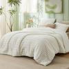 imageBedsure Fluffy Comforter Set Queen  Super Soft Faux Fur Bed Set Cream White All Seasons Warm Plush Fleece Bedding 3 Pieces 1 Shaggy Fuzzy Queen Size Comforter with 2 Pillowcases01  Cream White