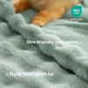 imageBedsure GentleSoft Fluffy Faux Fur Throw Blanket Fuzzy Soft Bubble Blanket for Couch Faux Fur Decor for Bedroom Living Room Housewarming Thick Warm Furry Cozy Gifts for Women Cream 50x60 InchSage Green