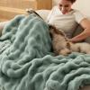 imageBedsure GentleSoft Fluffy Faux Fur Throw Blanket Fuzzy Soft Bubble Blanket for Couch Faux Fur Decor for Bedroom Living Room Housewarming Thick Warm Furry Cozy Gifts for Women Cream 50x60 InchSage Green
