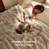 imageBedsure GentleSoft Fluffy Faux Fur Throw Blanket Fuzzy Soft Bubble Blanket for Couch Faux Fur Decor for Bedroom Living Room Housewarming Thick Warm Furry Cozy Gifts for Women Cream 50x60 InchBeige