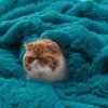 imageBedsure GentleSoft Fluffy Sherpa Fleece Faux Fur Blankets Queen Size for Bed Bedroom Decor Winter Thick Warm Full Queen Blankets Fuzzy Plush Soft Heavy Mink Tie Dye Grey Bedding Cozy Gifts 90x9018 Teal