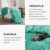 imageBedsure GentleSoft Fluffy Sherpa Fleece Faux Fur Blankets Queen Size for Bed Bedroom Decor Winter Thick Warm Full Queen Blankets Fuzzy Plush Soft Heavy Mink Tie Dye Grey Bedding Cozy Gifts 90x9023 Aruba Blue