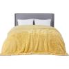 imageBedsure GentleSoft Fluffy Sherpa Fleece Faux Fur Blankets Queen Size for Bed Bedroom Decor Winter Thick Warm Full Queen Blankets Fuzzy Plush Soft Heavy Mink Tie Dye Grey Bedding Cozy Gifts 90x9016 Light Yellow