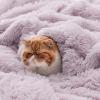 imageBedsure GentleSoft Fluffy Sherpa Fleece Faux Fur Blankets Queen Size for Bed Bedroom Decor Winter Thick Warm Full Queen Blankets Fuzzy Plush Soft Heavy Mink Tie Dye Grey Bedding Cozy Gifts 90x9012 Lavender