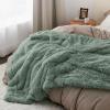 imageBedsure GentleSoft Fluffy Sherpa Fleece Faux Fur Blankets Queen Size for Bed Bedroom Decor Winter Thick Warm Full Queen Blankets Fuzzy Plush Soft Heavy Mink Tie Dye Grey Bedding Cozy Gifts 90x9010 Sage Green
