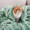 imageBedsure GentleSoft Sherpa Fluffy Blanket Queen Size for Bed  Fleece Warm and Cozy for Women Gift Plush ampamp Fuzzy Faux Fur Blanket for Couch Sofa and Decor Tie Dye Design Grey 90x90 Inches05  Sage Green