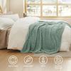 imageBedsure GentleSoft Throw Blanket for Couch  Soft Cozy Fall Blanket Gifts for Women Teen Girls Fuzzy Fluffy Fleece Throw Boho Home Room Fall Decor Aesthetic Halloween Christmas White 50x60 InchesSage Green