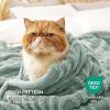 imageBedsure GentleSoft Throw Blanket for Couch  Soft Cozy Fall Blanket Gifts for Women Teen Girls Fuzzy Fluffy Fleece Throw Boho Home Room Fall Decor Aesthetic Halloween Christmas White 50x60 InchesSage Green