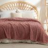 imageBedsure GentleSoft Throw Blanket for Couch  Soft Cozy Fall Blanket Gifts for Women Teen Girls Fuzzy Fluffy Fleece Throw Boho Home Room Fall Decor Aesthetic Halloween Christmas White 50x60 InchesDusty Pink