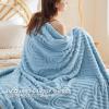 imageBedsure GentleSoft Throw Blanket for Couch  Soft Cozy Fall Blanket Gifts for Women Teen Girls Fuzzy Fluffy Fleece Throw Boho Home Room Fall Decor Aesthetic Halloween Christmas White 50x60 InchesBlue