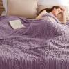 imageBedsure GentleSoft Throw Blanket for Couch  Soft Cozy Fall Blanket Gifts for Women Teen Girls Fuzzy Fluffy Fleece Throw Boho Home Room Fall Decor Aesthetic Halloween Christmas White 50x60 InchesPurple