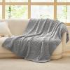 imageBedsure GentleSoft Throw Blanket for Couch  Soft Cozy Fall Blanket Gifts for Women Teen Girls Fuzzy Fluffy Fleece Throw Boho Home Room Fall Decor Aesthetic Halloween Christmas White 50x60 InchesLight Grey