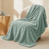 imageBedsure GentleSoft Throw Blanket for Couch  Soft Cozy Fall Blanket Gifts for Women Teen Girls Fuzzy Fluffy Fleece Throw Boho Home Room Fall Decor Aesthetic Halloween Christmas White 50x60 InchesSage Green