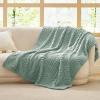 imageBedsure GentleSoft Throw Blanket for Couch  Soft Cozy Fall Blanket Gifts for Women Teen Girls Fuzzy Fluffy Fleece Throw Boho Home Room Fall Decor Aesthetic Halloween Christmas White 50x60 InchesSage Green