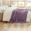imageBedsure GentleSoft Throw Blanket for Couch  Soft Cozy Fall Blanket Gifts for Women Teen Girls Fuzzy Fluffy Fleece Throw Boho Home Room Fall Decor Aesthetic Halloween Christmas White 50x60 InchesPurple