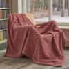 imageBedsure GentleSoft Throw Blanket for Couch  Soft Cozy Fall Blanket Gifts for Women Teen Girls Fuzzy Fluffy Fleece Throw Boho Home Room Fall Decor Aesthetic Halloween Christmas White 50x60 InchesDusty Pink