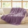 imageBedsure GentleSoft Throw Blanket for Couch  Soft Cozy Fall Blanket Gifts for Women Teen Girls Fuzzy Fluffy Fleece Throw Boho Home Room Fall Decor Aesthetic Halloween Christmas White 50x60 InchesPurple