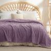 imageBedsure GentleSoft Throw Blanket for Couch  Soft Cozy Fall Blanket Gifts for Women Teen Girls Fuzzy Fluffy Fleece Throw Boho Home Room Fall Decor Aesthetic Halloween Christmas White 50x60 InchesPurple